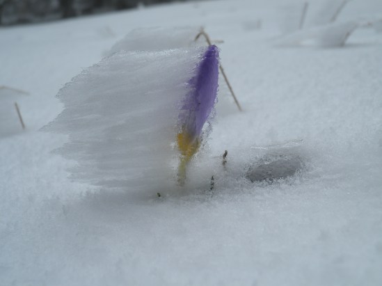 χειμώνα σχέδια