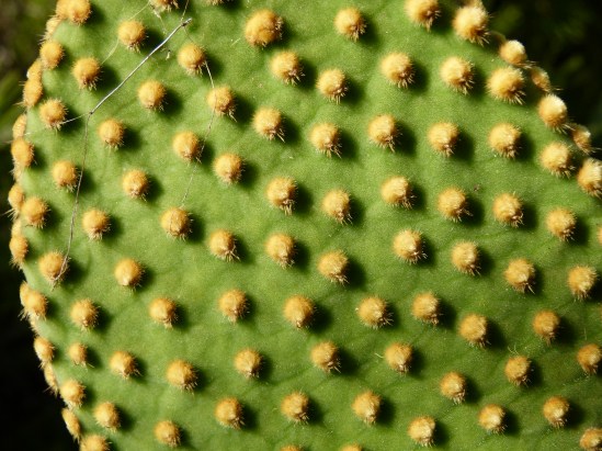 από πολύ κοντά