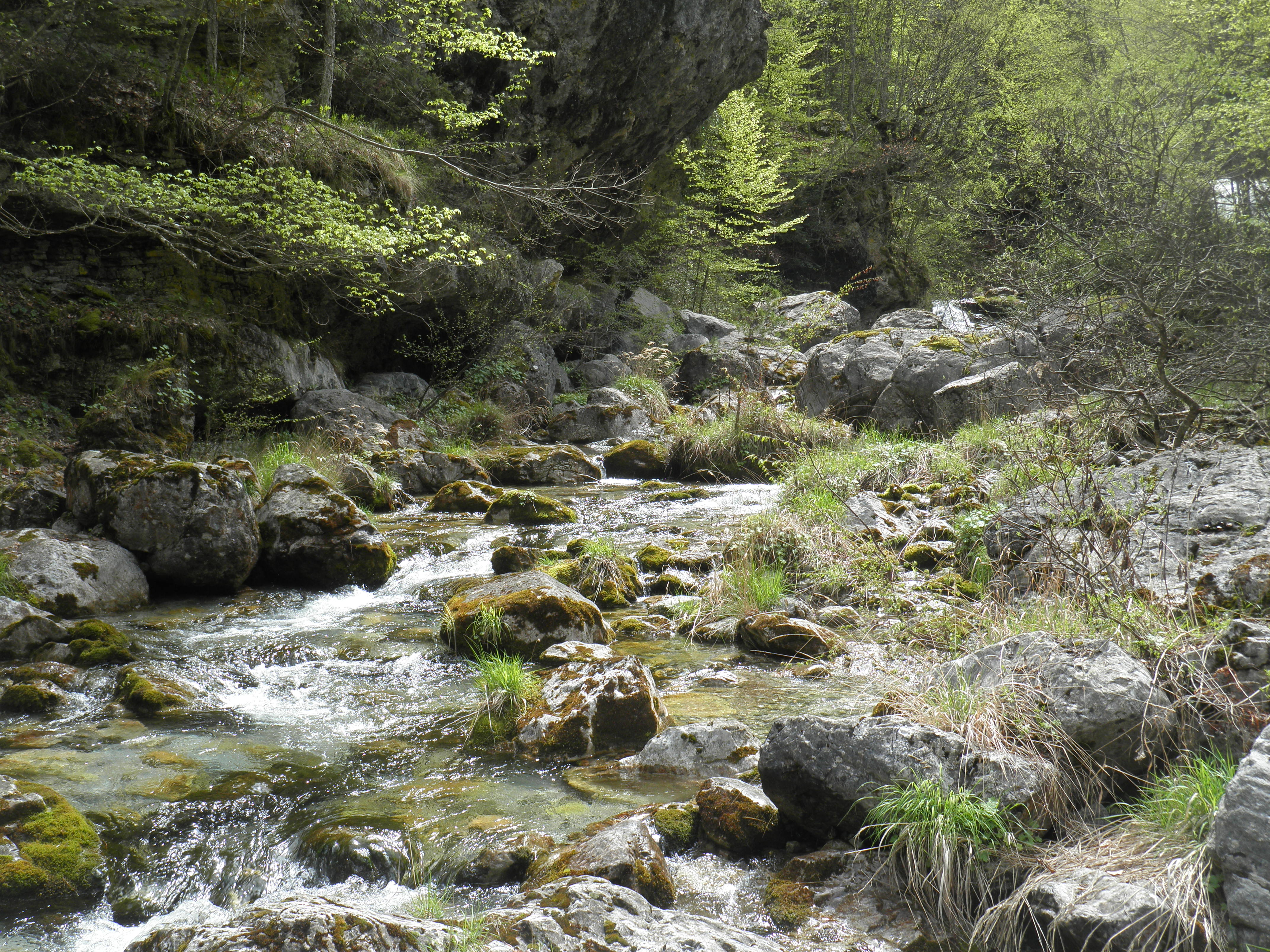 P4203070.JPG
