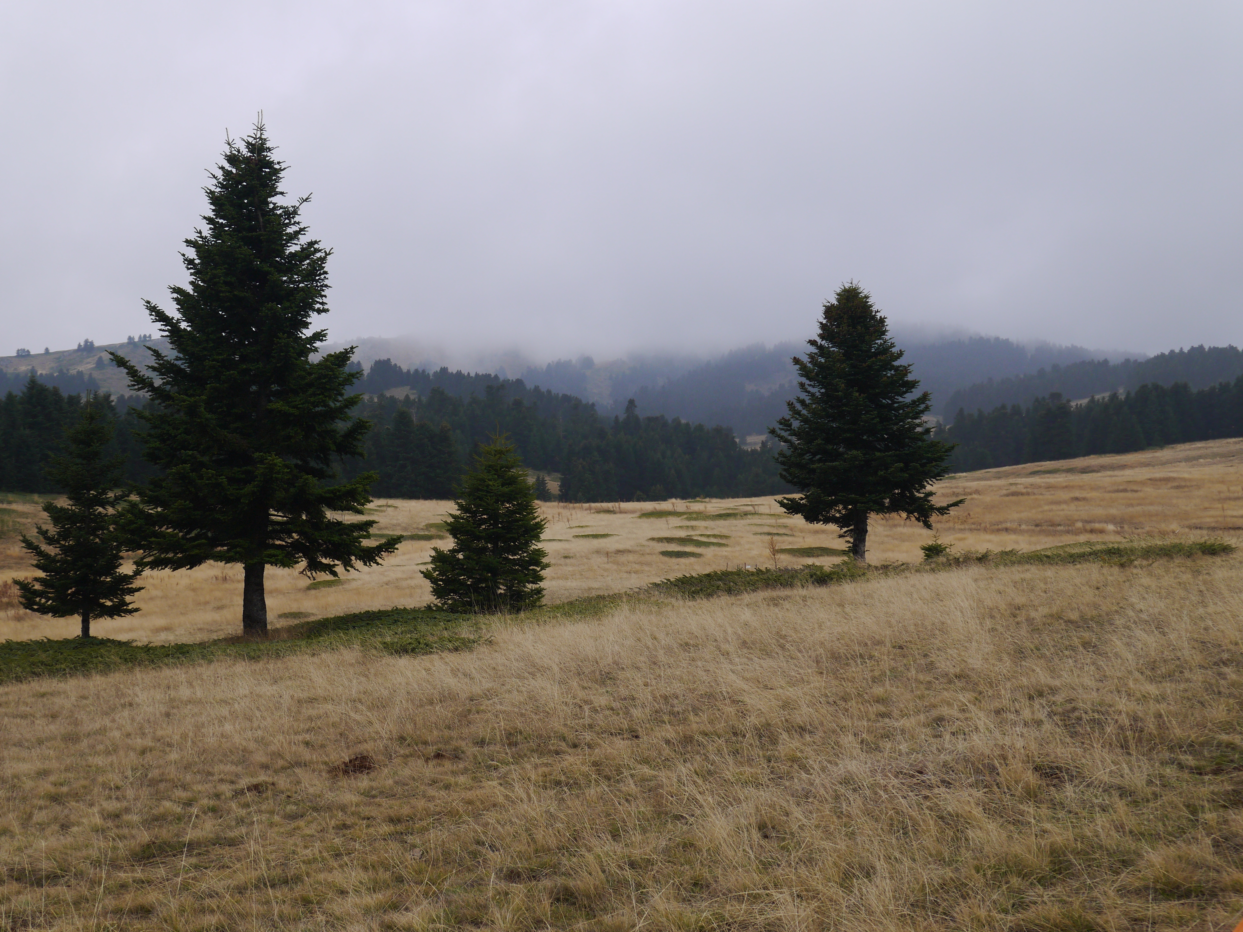 P1080188.JPG